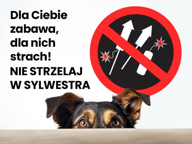 Nie strzelaj w SYLWESTRA